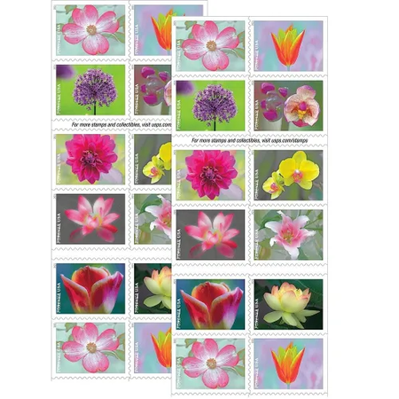 100 Garden Beauty flower 2021 - 5 Booklets 100 Pcs Unused Stamps for Mailing hot